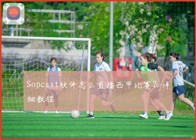 Sopcast软件怎么直播西甲比赛？详细教程