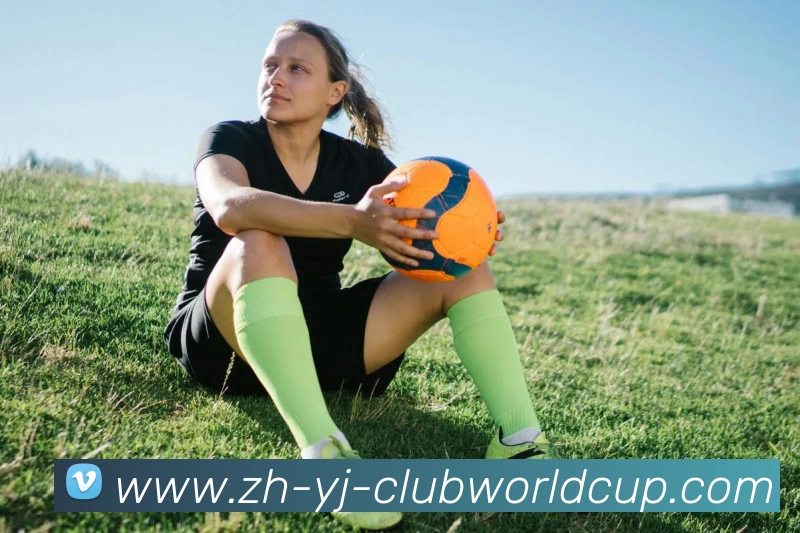 世界杯官网平台生态图